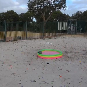 Sink or Bounce? Oobleck Holds the Answer 💥#reels #fun #challenge #funny | How Ridiculous