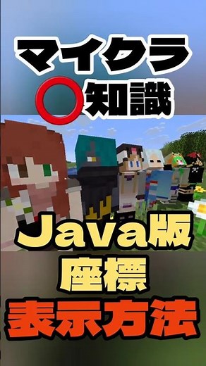 【マイクラ️⭕️知識】Java版で座標を常に表示する方法【Minecraft/minecraft/まいくら】
