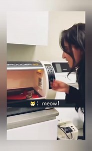 309K views · 7.2K reactions | Little kitten | Cute Cat | Facebook