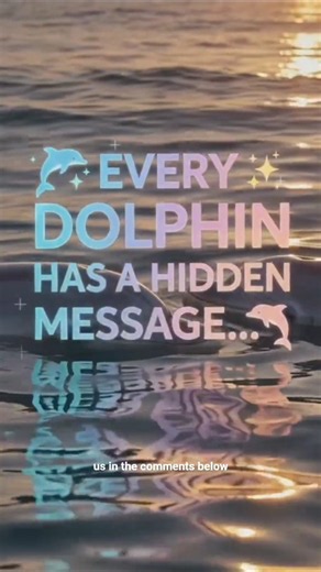 🐬 5 Secret Signals Dolphins Use Every Day (Most People Never Notice!)