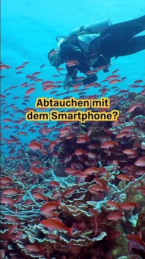 Test wasserdichte Handyhüllen 2024: Tauchgehäuse für Smartphone-Unterwasseraufnahmen