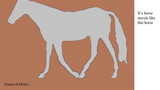 3K views · 38 reactions | The two cases presented here are likely to develop navicular syndrome, even if the hooves are trimmed correctly. Soundness demands that both the horse’s physique and the hooves are properly balanced. | Science Of Motion | Facebook