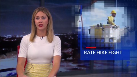 FPL reaches potential rate hike settlement