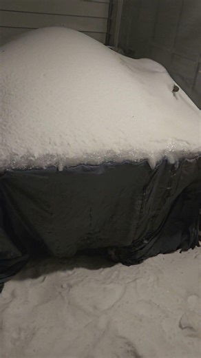 Winterize Your Doghouse