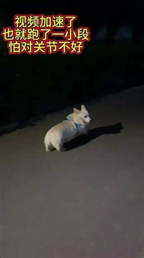 From Slow to Fast: The Inspiring Journey of a Little Runner