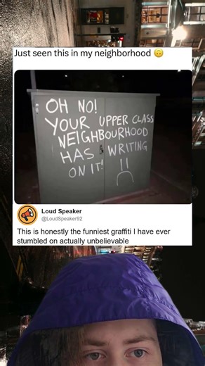 Upper Class Neighborhood Loses It Over Mild Graffiti