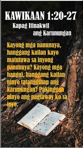 KAWIKAAN 1:20-27 Audio & Text Scripture #bible #proverbs