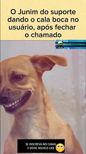 Analista de Suporte Depois de Fechar o Chamado #ti #analistadesuporte #humorti #suporteti