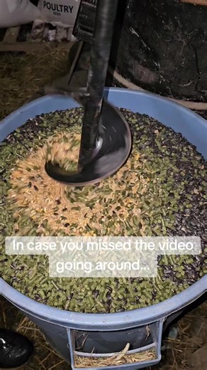 I have been mixing my own grain for years. It normally takes me quite awhile because I mix it by the scoop. I do a scoop of this, half a scoop of that, then a sprinkle of this, and repeat. That actually is the ratio I use for our goat grain! That takes a lot longer than the auger we bought here in TT! #tiktokshop #grain #mix #hobbyfarm #farmlife