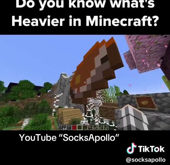 Minecraft: Bedrock vs Barrier Block Weight Comparison