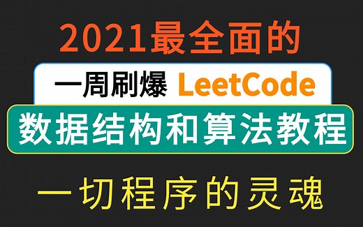 一周刷爆Leetcode 数据结构和算法 三十天精通 从入门到精通 B站最详细全面的数据结构与算法教程 【附；源码+笔记+面试大全】