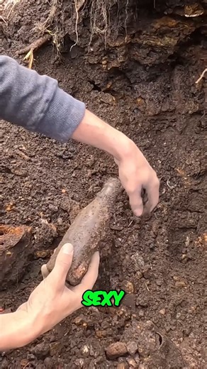 Epic Coca-Cola Bottle Find: First Whole Block Letter Coke from Fulton, KY! We just made history with our first ever whole block letter Coca-Cola bottle from Fulton, Kentucky! This epic creek find is more than just glass it’s a collector’s dream. Block letter Cokes are among the earliest embossed Coca-Cola bottles, dating back over a century. To pull one whole from Fulton’s creeks is a discovery we’ve been chasing for years. 👉 From sodas to medicines to rare jugs, every dig tells a story but thi