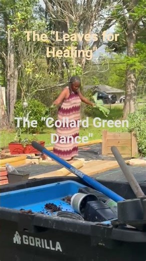 Collard harvest from our 2x5 self-watered- bed, layered with wool, wood, compost, & fresh leaf mulch