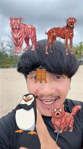 จับคู่อันไหนคู่กับอะไร?😳 #ลองดู #จัดไป #ฝากติดตาม #ช่องยูทูป #พี่นนท์ #เอ็นจอยคับผม #viral