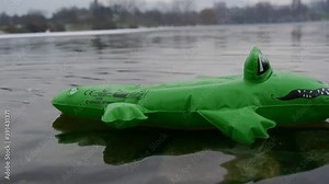 a green inflatable crocodile swims on a lake from left to right