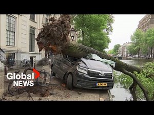 Netherlands hit with rare summer storm, dozens injured