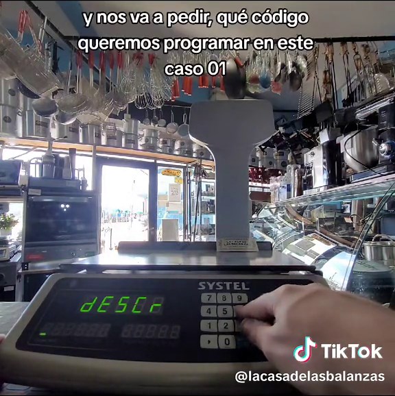 Programación de Códigos en Balanza Systel
