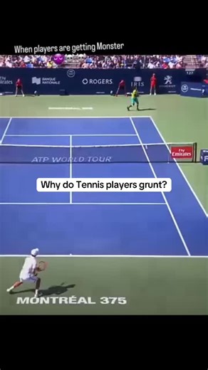 Why do tennis players grunt? It actually comes from proper breathing. When you exhale as you hit, your body relaxes, your core engages, and you generate more power. The sound is just the audible version of that breath. Over time, some players leaned into it; it helps with rhythm, timing, and even confidence during long rallies. That’s why you hear players like Sharapova and Alcaraz really let it out. It’s not just noise; it’s technique. But the question is: should it always be allowed? 🎥: @tenn