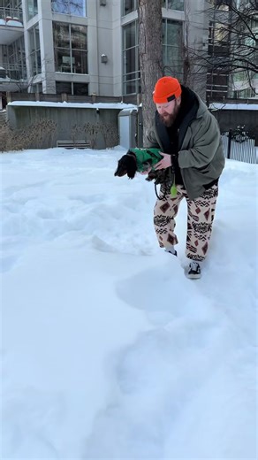 Short pawsome problems #miniaturedachshunds