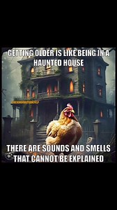 My House has odd sounds…. | Chickens Rule the World