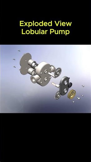 Lobular Pump Exploded View Animation ⚙️