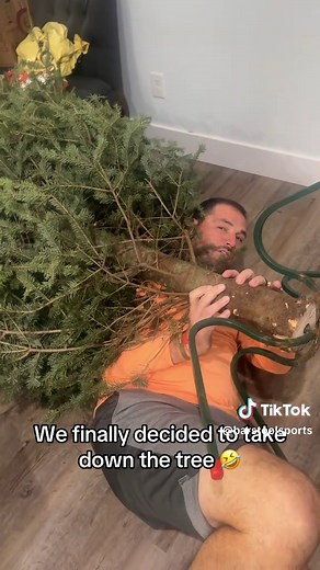 Christmas Tree Setup Tips: Under the Tree Moments