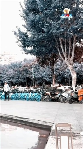 Lovely song 💞l💫8k start full screen♥️ L vs U YOUTUBE❤️THEBR0.7BHAI #shortyoutube #lovestatus#viral.