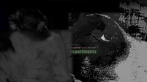 1.4K views · 112 reactions | NEW TV AD: for #VeteransDay, we're fighting U.S. Department of Veterans Affairs' wasteful "maximum pain" dog tests by running this new TV ad where it counts most: DC! WATCH TV AD: https://secure.campaignsolutions.com/wcw/dog-abuse/default.aspx?InitiativeKey=XN6EV3VAXZW0 | White Coat Waste | Facebook