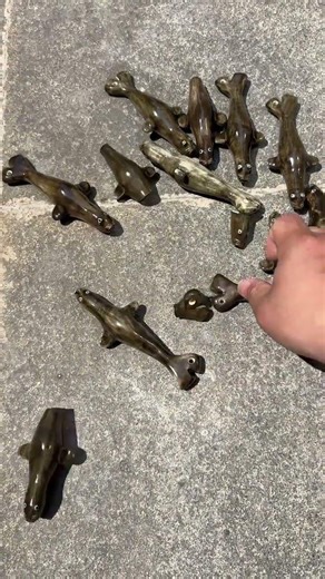 Sea Lion Group Playing with Straw - What a Pity