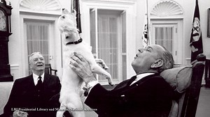 55 reactions · 5 comments | In the latest episode of The White House 1600 Sessions, our president joins Alan Price, Director of the John F. Kennedy Presidential Library and Museum to tour their new exhibit, Presidential Pets. | The White House Historical Association | Facebook
