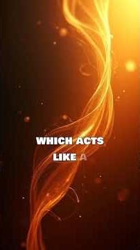 The Most Expensive Scotch in the World 🥃 Worth $50,000?” #bourbon #behindthebarrel #legends