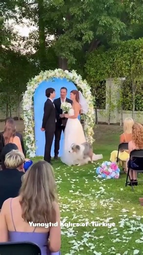 Wedding Fails You Can’t Unsee #weddingfails #weddinggonewrong #weddingmoments