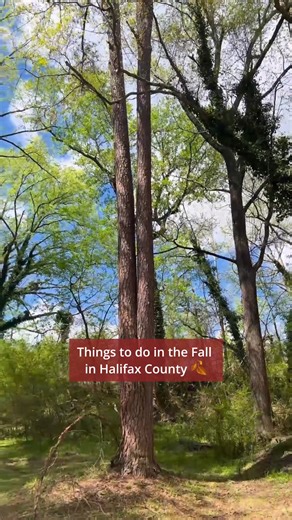 Here are some of our favorite Fall activities in Halifax County 🍂 - Scenic hike in Medoc Mountain State Park - Local business Shopping - Weldon Mills Distillery Tour - Visiting Historic Halifax - Enjoying authentic southern food What else should we add? Let us know in the comments! #DiscoverHalifaxNC #VisitNC #VisitHalifaxNC | Visit Halifax