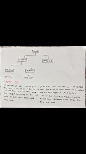 You Won't Believe This Science Behind Timber