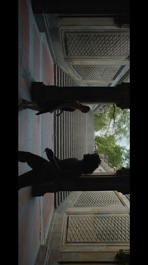 ARRI Rental on Instagram: "Cinematographer Alejandro Mejía AMC recruited choreographer Mia Hjelte and two talented dancers for his ALEXA 265 showreel, “Pulse.” Jumping between New York City locations including Central Park, Chambers St. Station, and the Brooklyn Bridge waterfront, Alejandro tested the camera in widely varying available light and was struck by its versatility, as well as the unique qualities of the 65 mm format. “I always thought that 65 mm was a beautiful format, but when I saw 