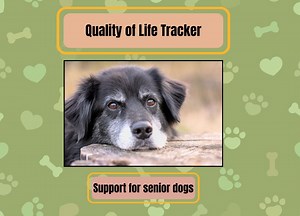 Senior Dog Quality of Life Tracker: Vet Developed, Printable Google Sheet (PDF Download)) - Etsy