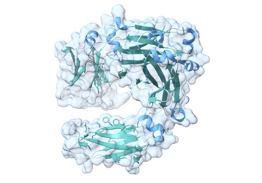 OpenFold3 is finally out! New fully open-source AF3 reproduction (preview) from OpenFold Consortium Try it out on Tamarind Bio now: https://lnkd.in/gfaZNqjWThe model is released with training… | Deniz Kavi