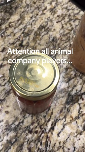 #animalcompany #vr #fyp #blowthisup #popular @Animal Company | Vr Games