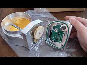 Speedmaster 102mm LS Throttle Body Internals