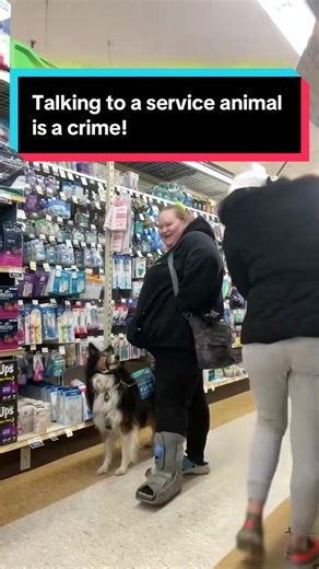 Before everyone and their mother comes after me, no, this was not planned or staged. You can clearly see me start laughing after it happened, and that’s because I was with another service dog handler, @Bella ✨ Sevy ✨ Ellie ✨ and we were actively filming an educational skit about why people should not talk to service dogs. While we were waiting for someone to pass through the aisle, this woman started talking to my service dog, Fidget, and the timing was honestly unreal. All jokes aside, this is 