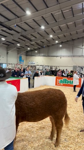 307 reactions · 5 comments |  Agrifest South West 2025 is underway...