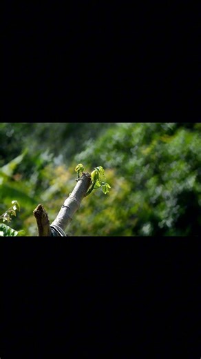 custom bokeh filter