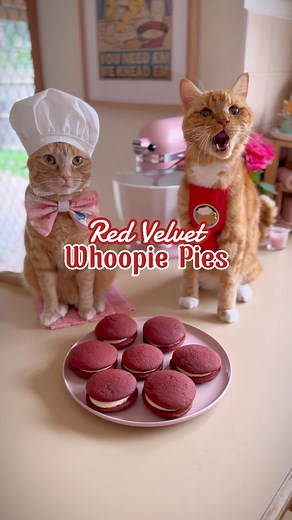 7.9K views · 662 reactions | Red velvet whoopie pies are purrfect for Valentine’s Day!  Get the full recipe below ⬇️  #cutecats #redvelvet #bakinglove | Princess Honeybelle | Facebook