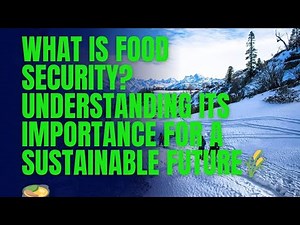 What Is Food Security? Understanding Its Importance for a Sustainable Future 🌾🍲