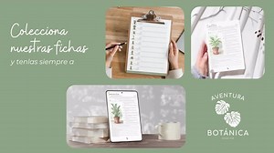 Rubber Tree (ficus Elastica) Care Sheet | Digital Botanical Guide in PDF for Plant Lovers. - Etsy Canada