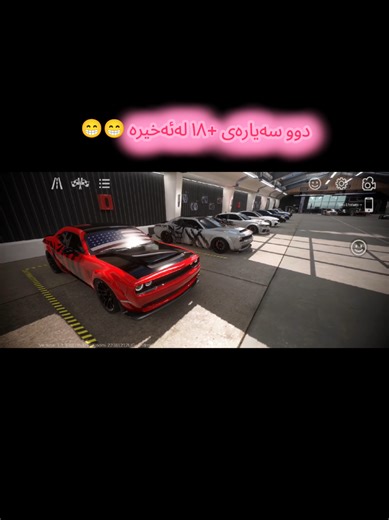 حوار طريف مع دجاجة على الشاطئ