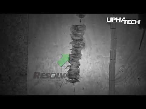 Rodents Choose Resolv Soft Bait