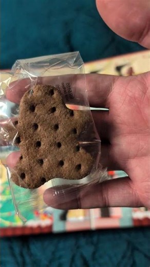 gingerbread man special ‪@BarkBox‬ #barkbox #fyp #christmas #adventcalendar #santa