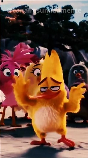 The real leader 😂 - Angry Birds - The Movie (2016)