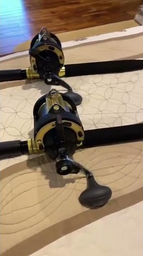Shimano TLD 20 2 Speed Reel